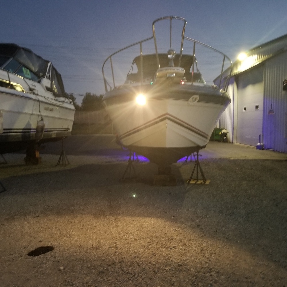 Meet your Posher, Marion